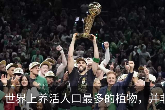 世界上养活人口最多的植物，并非小麦和玉米，而是来自亚洲的奇迹